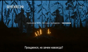 Лесные пожары легче предотвратить, чем потушить